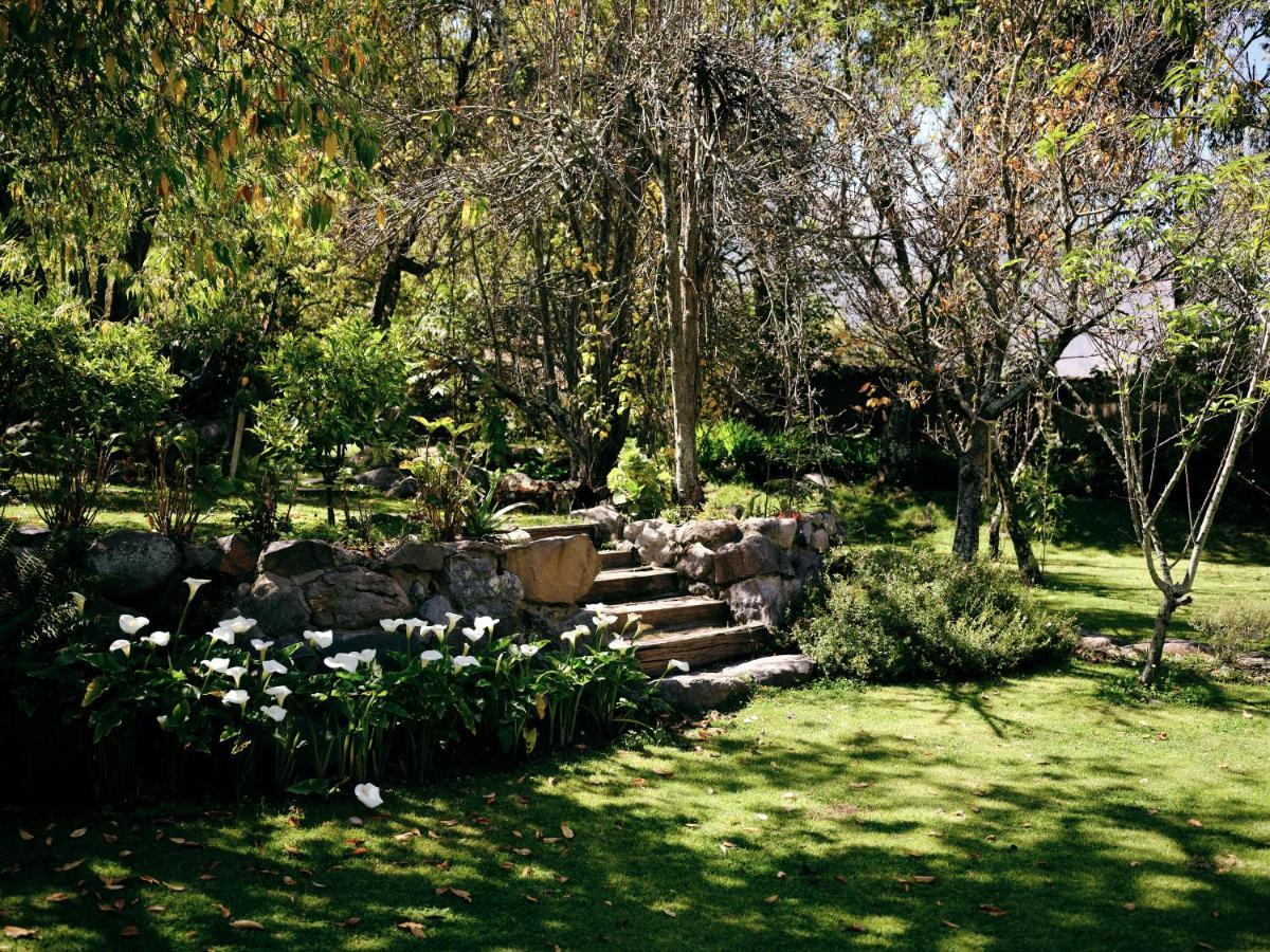 Andenia Boutique Hotel, Sacred Valley أُروبامبا المظهر الخارجي الصورة