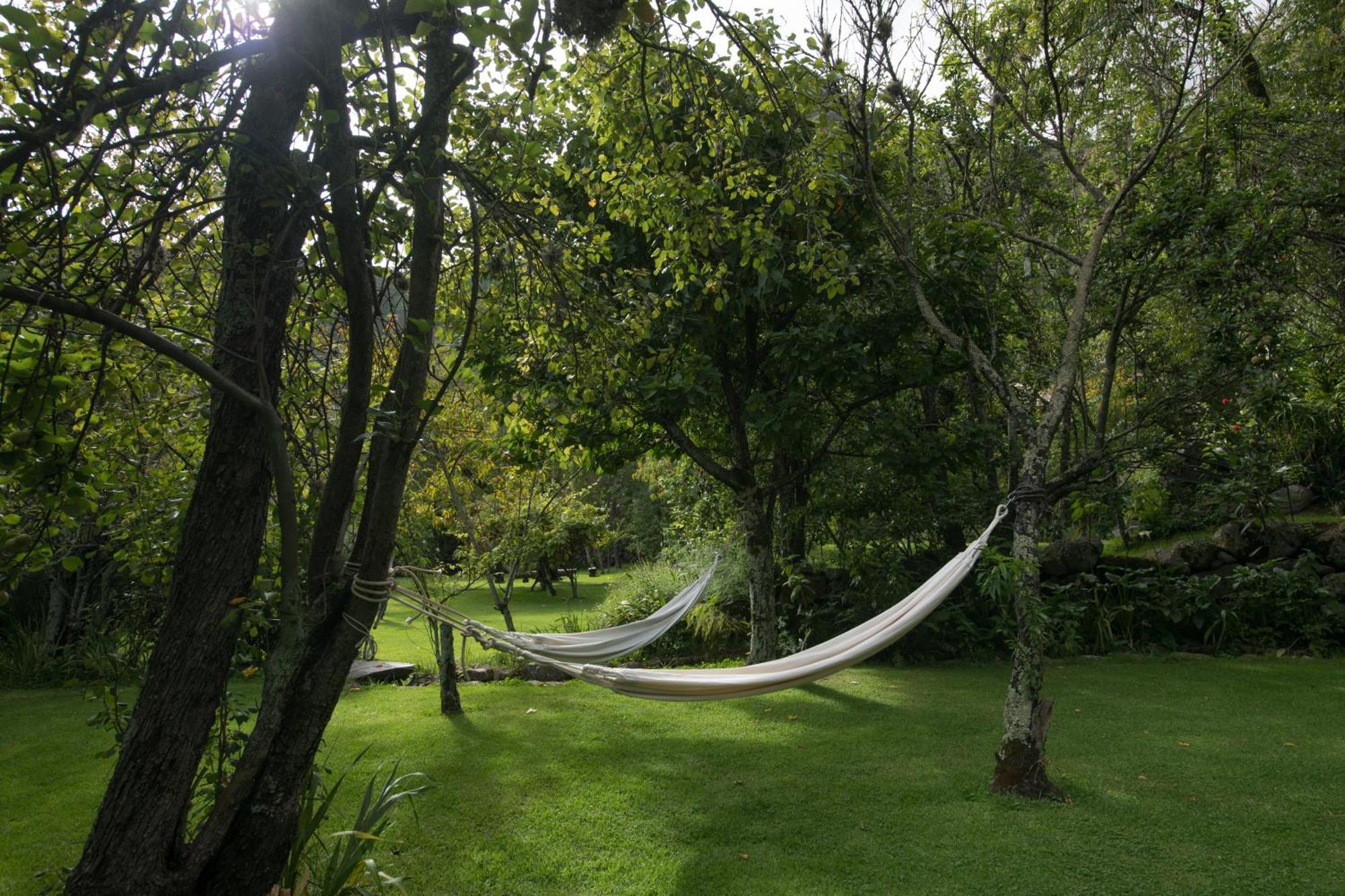 Andenia Boutique Hotel, Sacred Valley أُروبامبا المظهر الخارجي الصورة