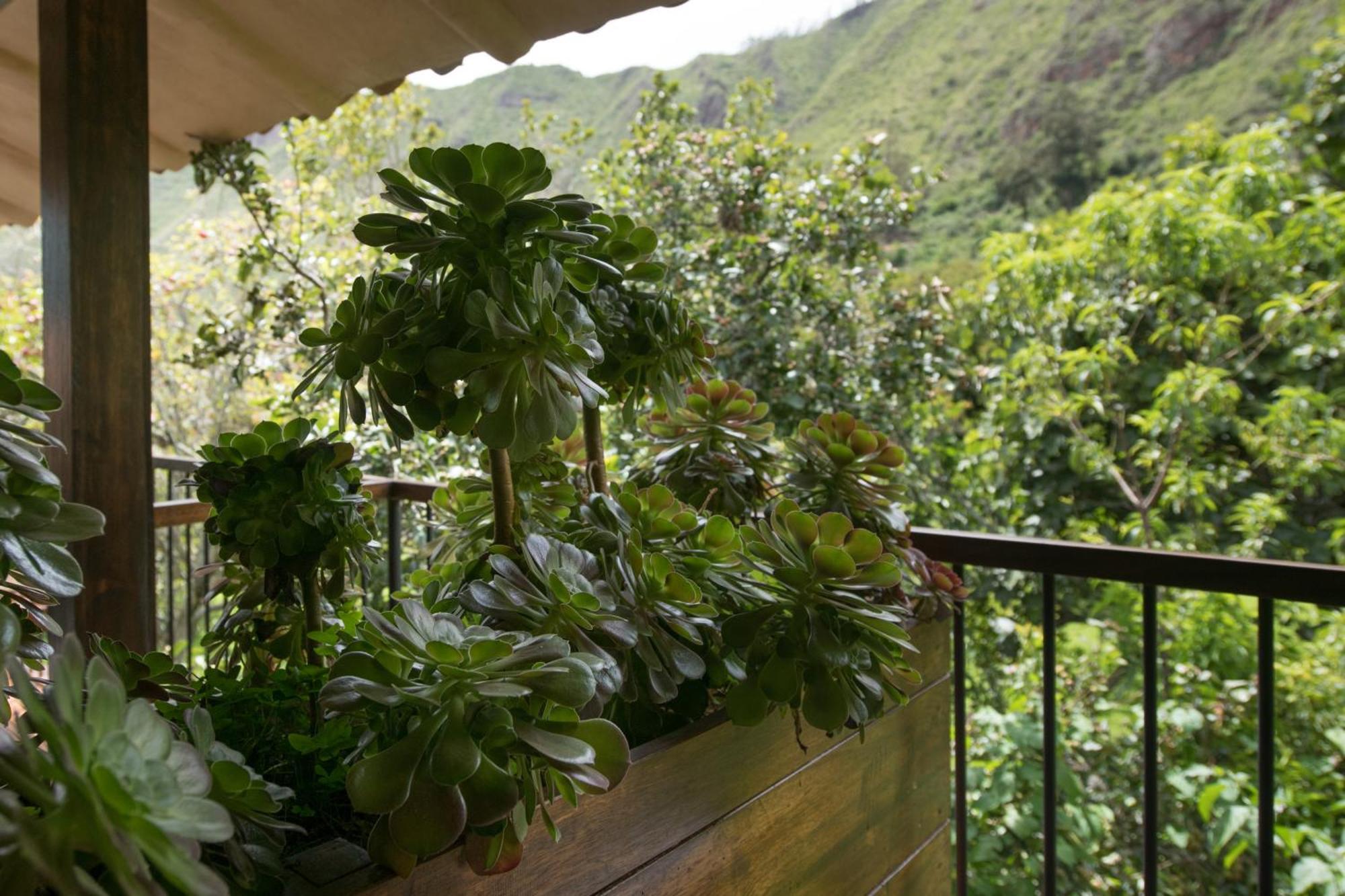Andenia Boutique Hotel, Sacred Valley أُروبامبا المظهر الخارجي الصورة